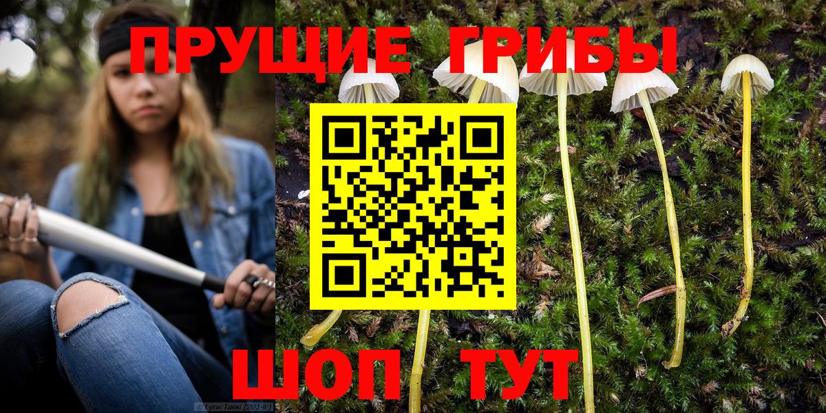 Псилоцибиновые грибы MAGIC MUSHROOMS  Вход с VPN  Кандалакша 